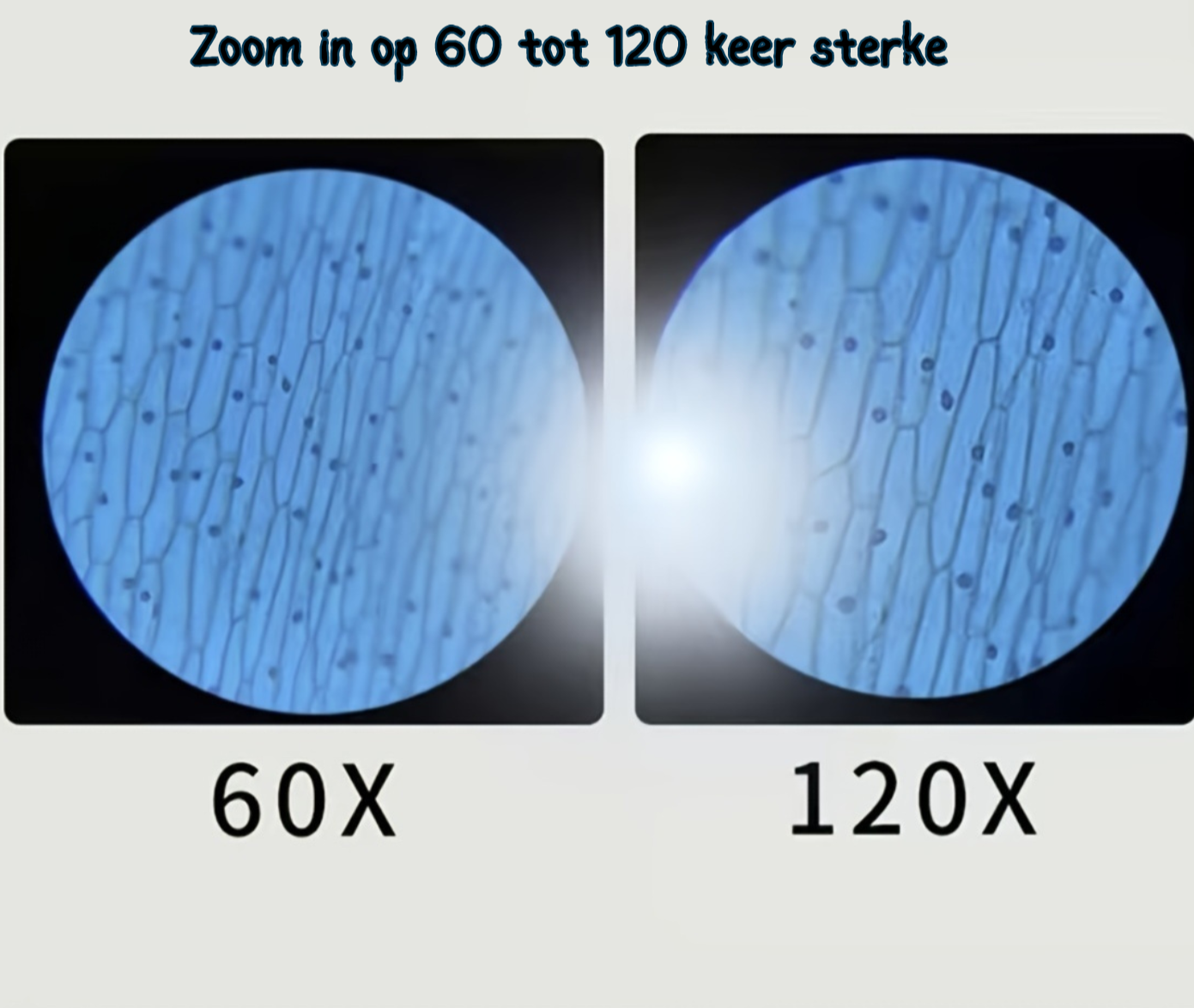 De Vinchess zak microscoop™